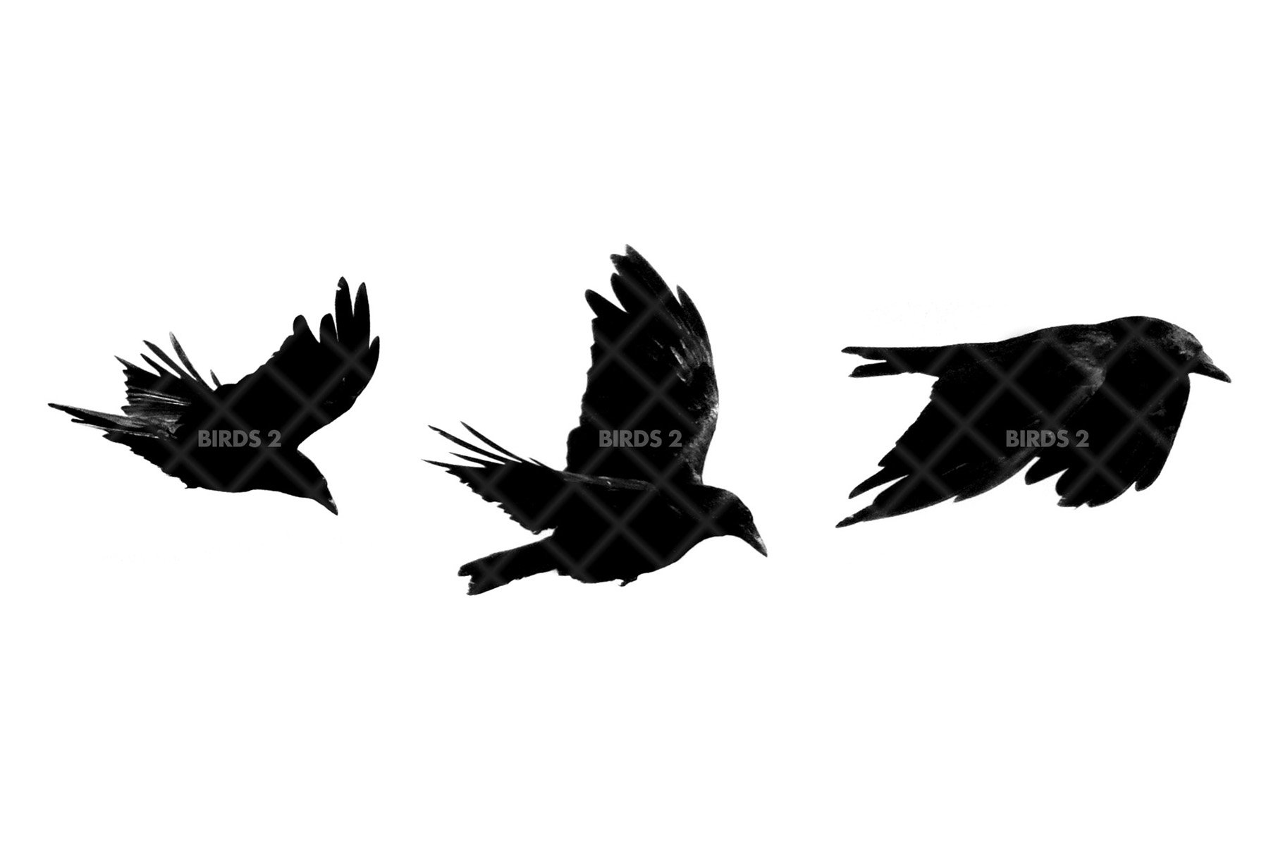 Birds 2 Brush Setpreview image.