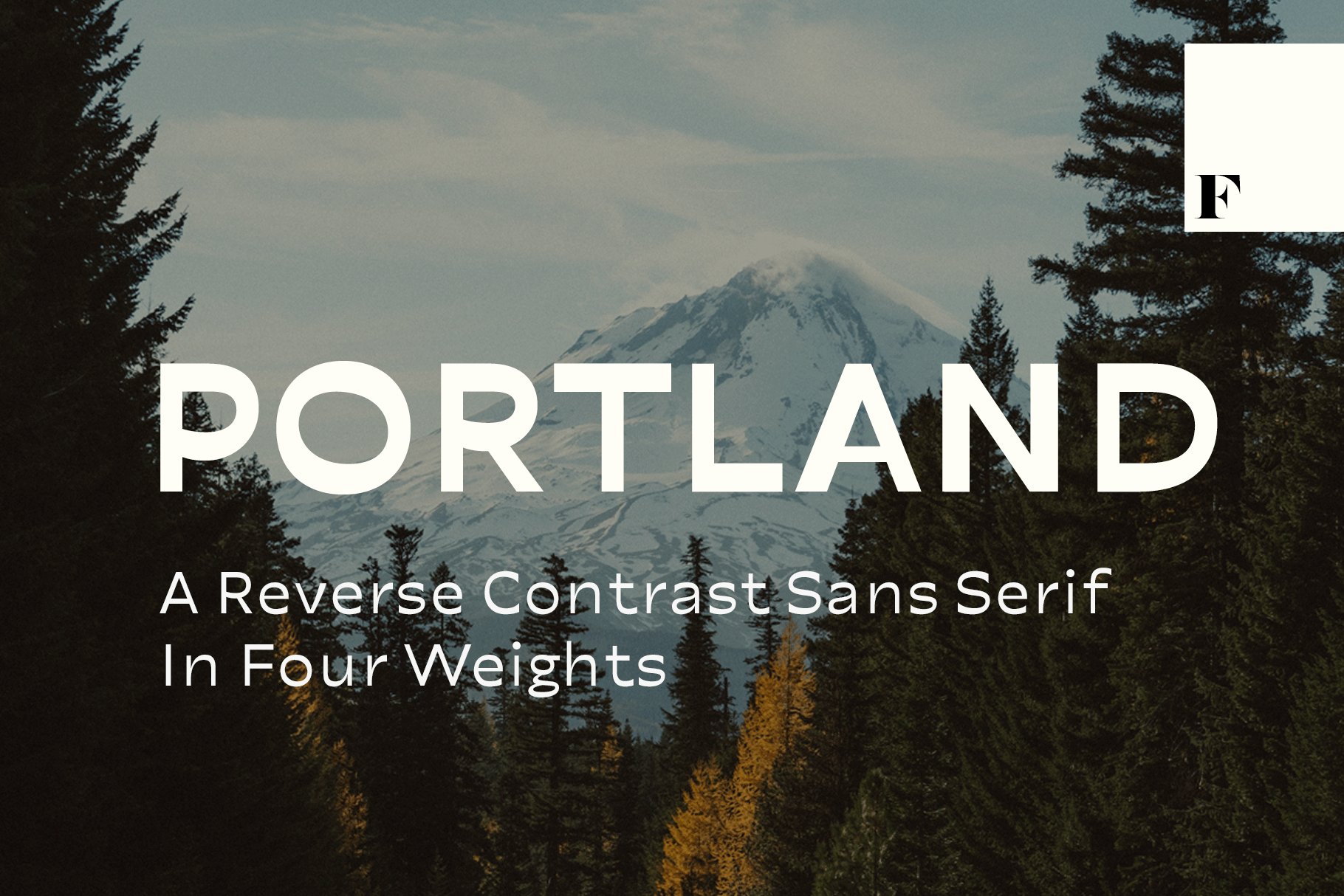 Portland Sans Serif cover image.