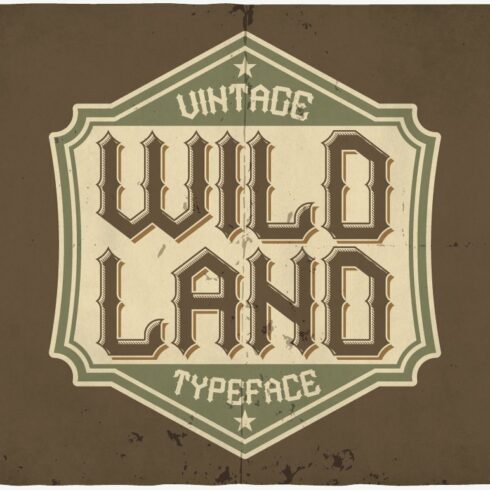 Wild Land typeface cover image.