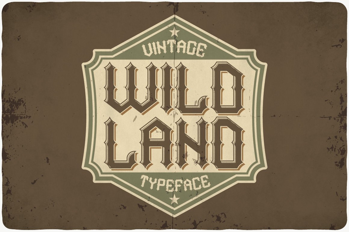 Wild Land typeface cover image.