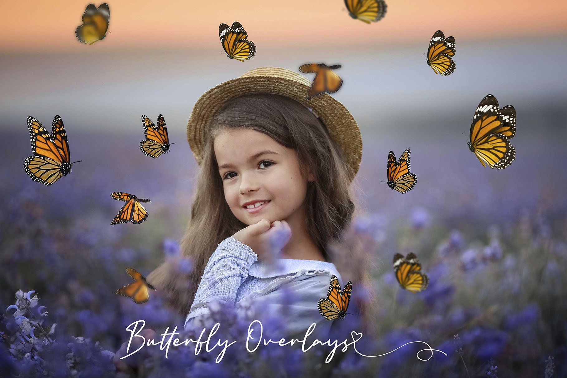 Butterfly Overlays, PNGscover image.