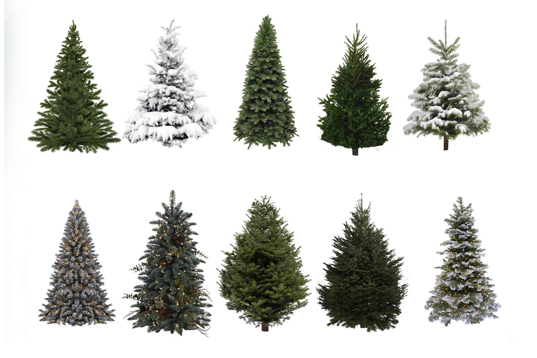 Fir Tree Overlays, Christmas, PNGspreview image.