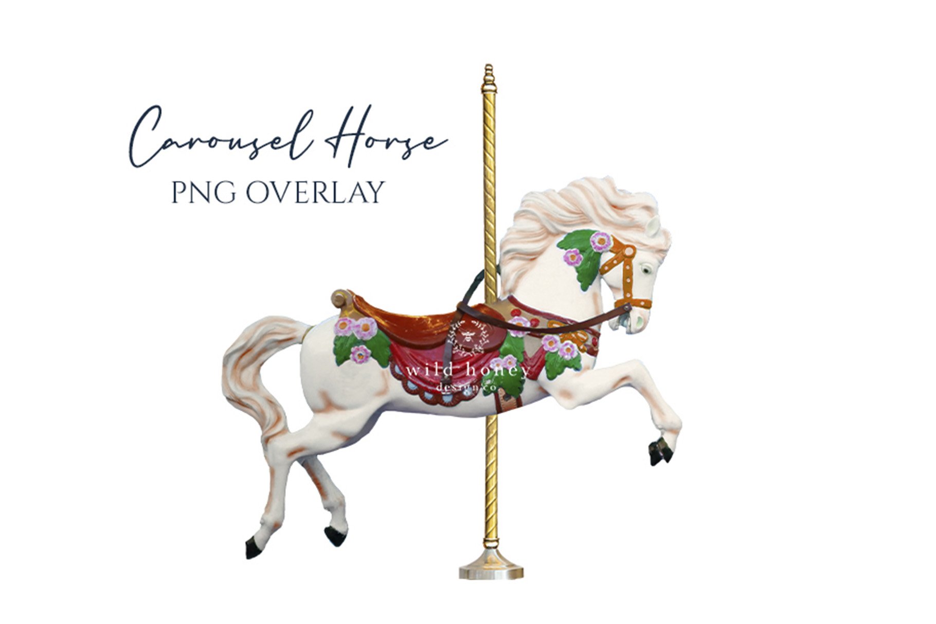 Carousel Horse Overlay, PNGcover image.