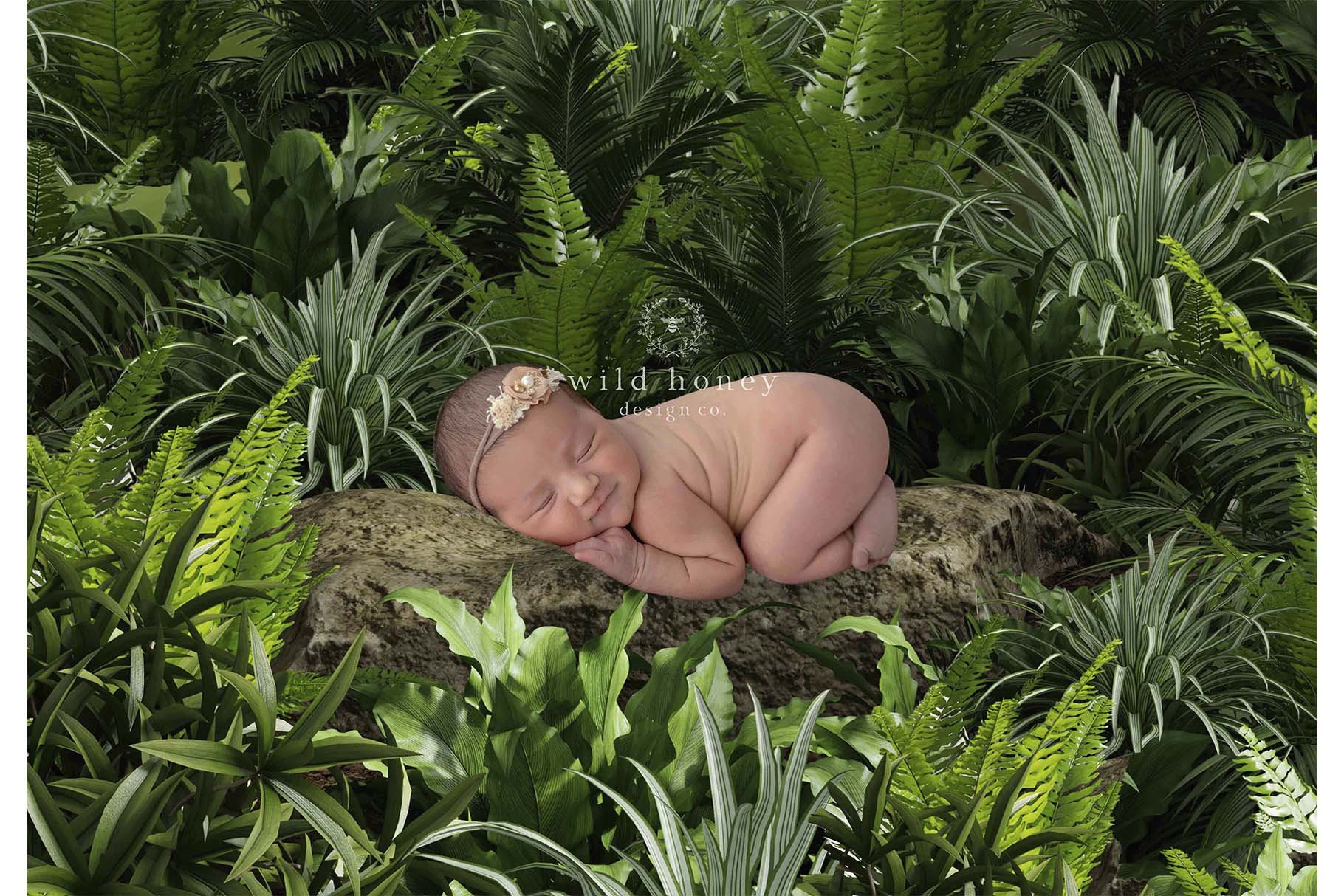 Woodland Baby Digital Backdropcover image.