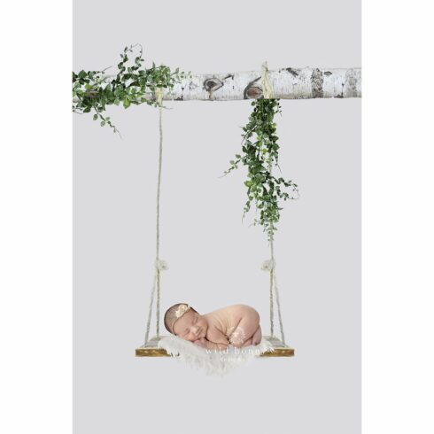 Newborn Swing Digital Backdropcover image.