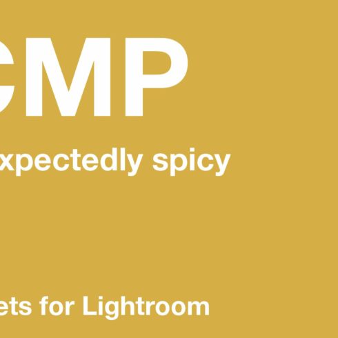 CMP// VSCO-ish Presets for Lightroomcover image.