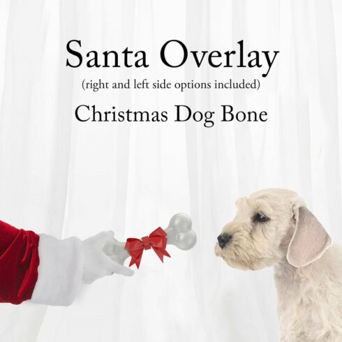 Christmas Bone for Dog Overlaycover image.