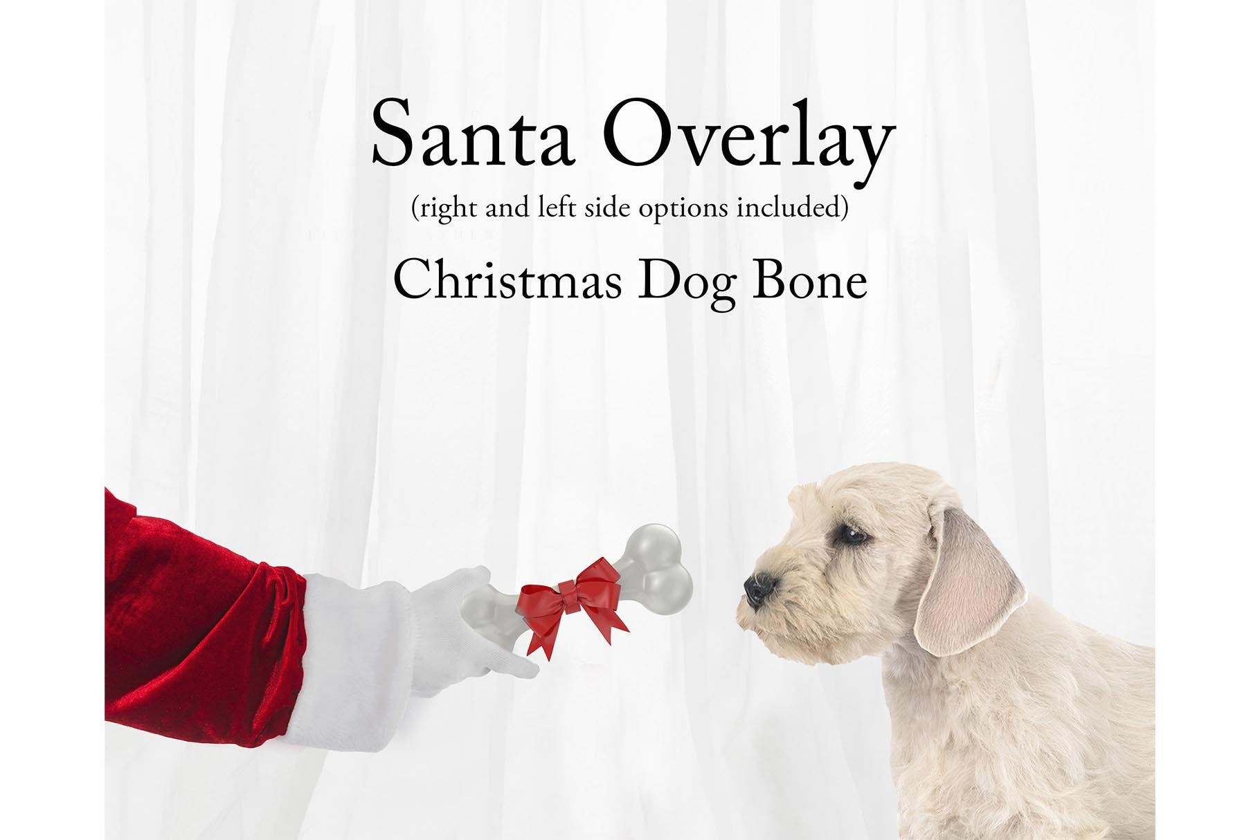 Christmas Bone for Dog Overlaycover image.