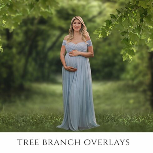 Tree Branch Overlays, PNGcover image.