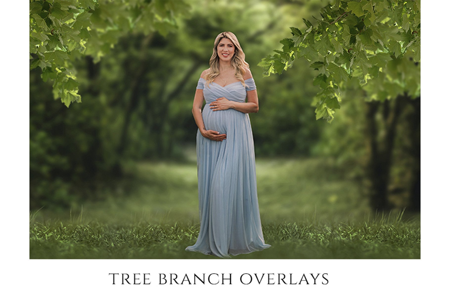 Tree Branch Overlays, PNGcover image.