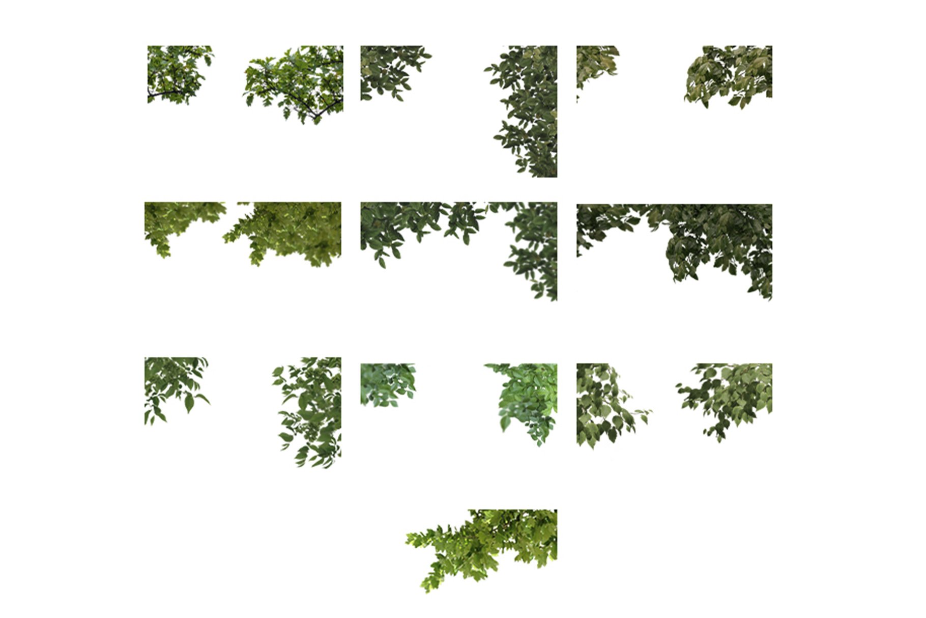 Tree Branch Overlays, PNGpreview image.