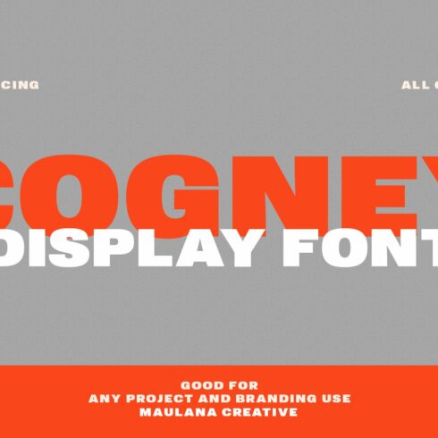Cogney Sans Serif Display Font cover image.
