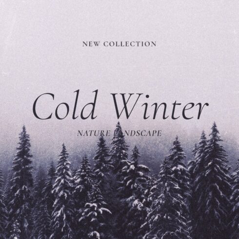 Cold Winter Landscape cover image.