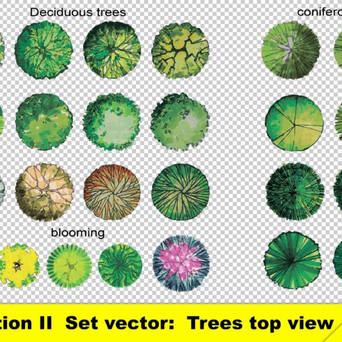 Set of isolated top view trees cover image.