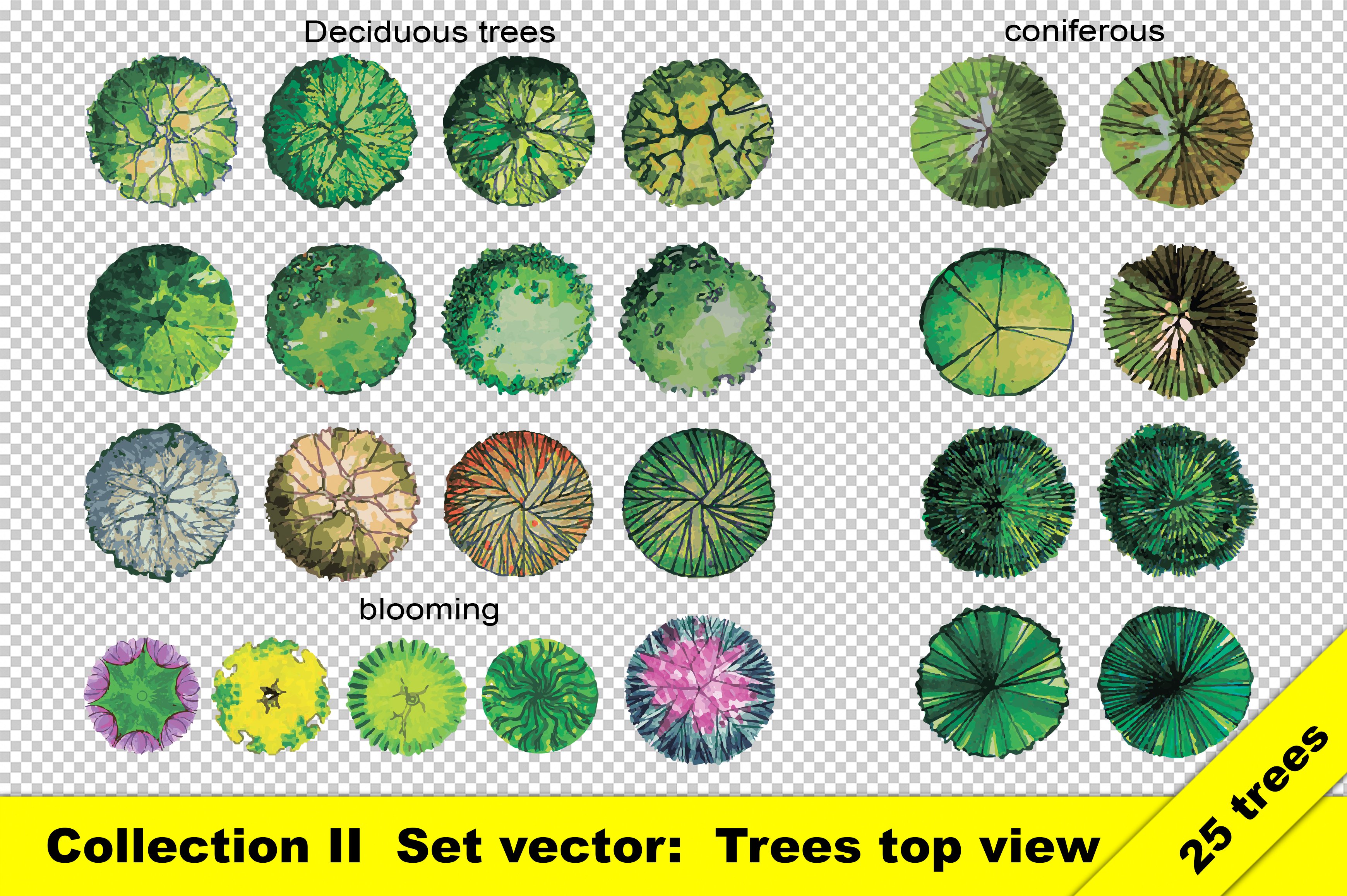 Set of isolated top view trees cover image.