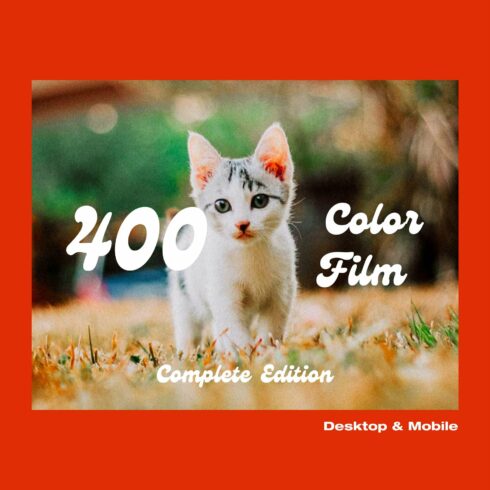 400 Color Film Lightroom Presetscover image.