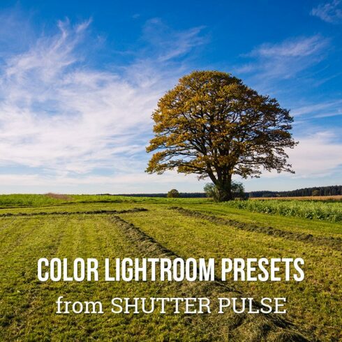 Color Lightroom Presetscover image.