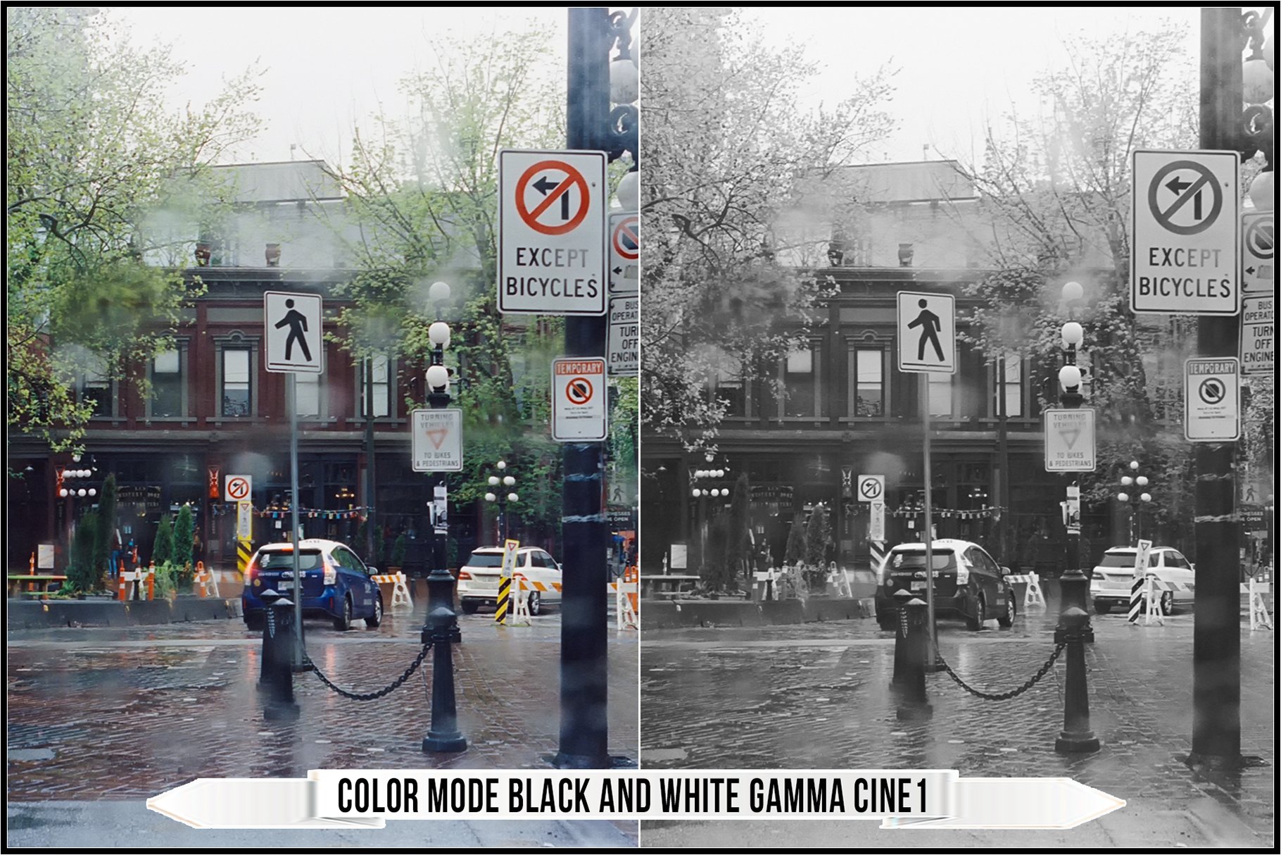 color mode black and white gamma cine1 453