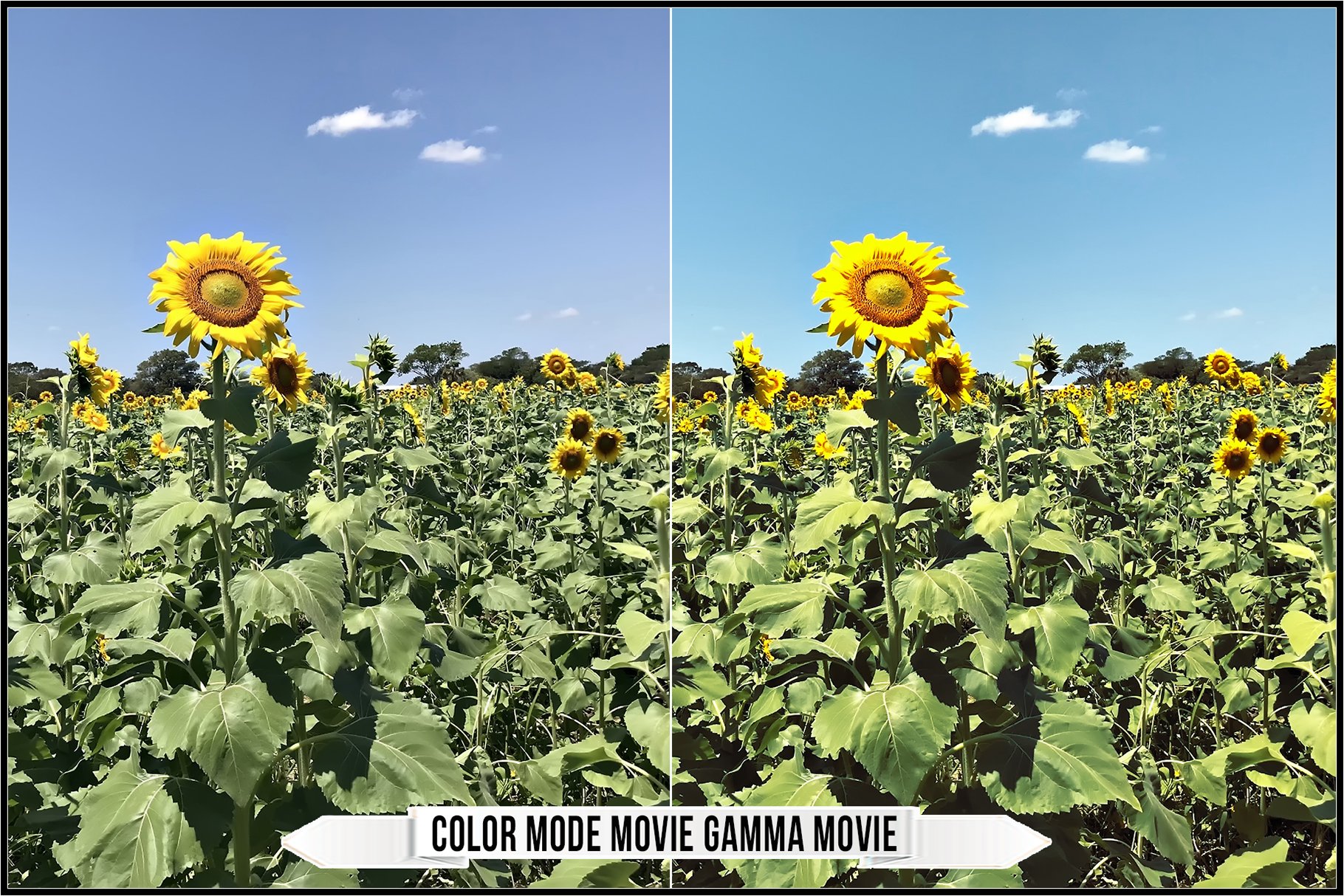 color mode movie gamma movie 575