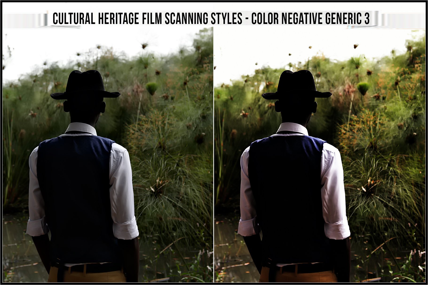 color negative generic 3 833