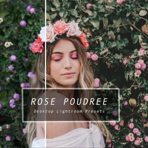 Desktop Lightroom Presets ROSEcover image.