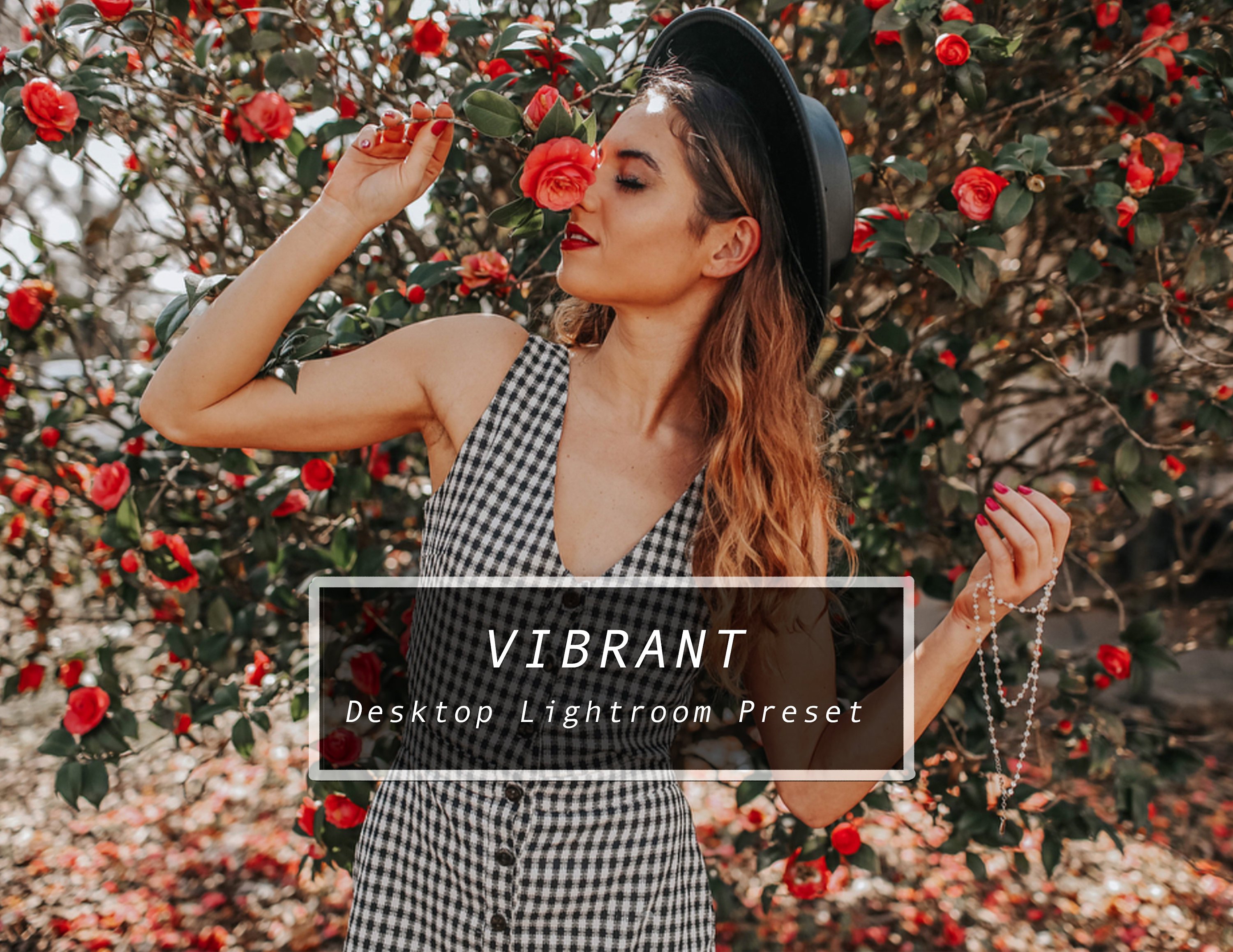 Desktop Lightroom Preset VIBRANTcover image.