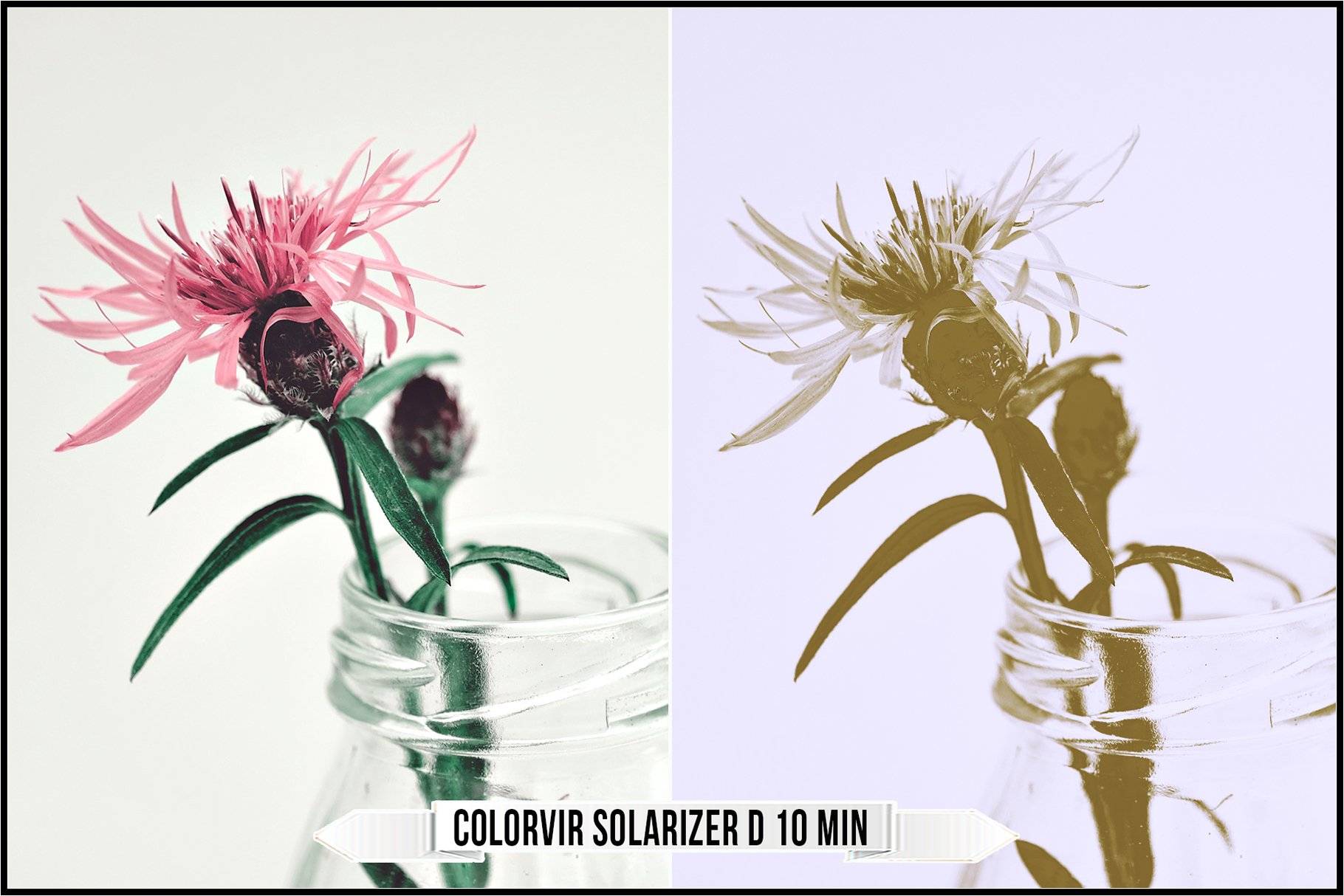 colorvir solarizer d 10 min 846