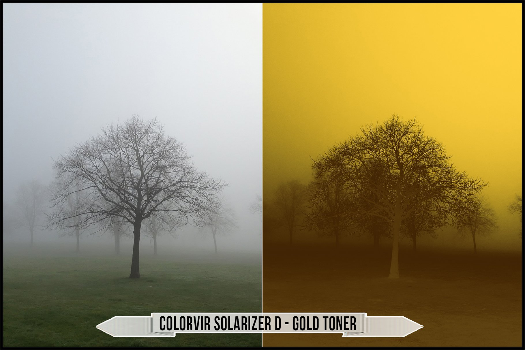 colorvir solarizer d gold toner 227