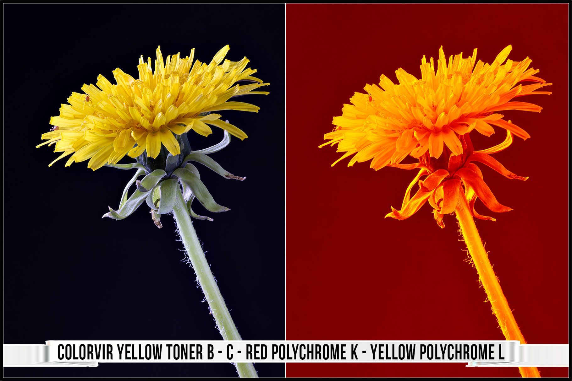 colorvir yellow toner b c red polychrome k yellow polychrome l 756