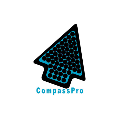 Compass Pro - TShirt Print Design cover image.