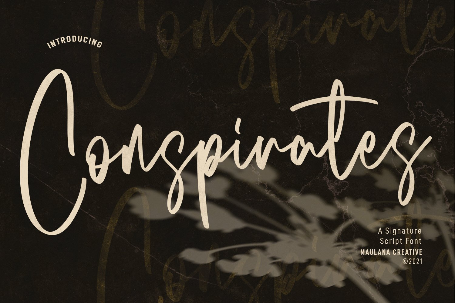 Conspirates Signature Script Font cover image.