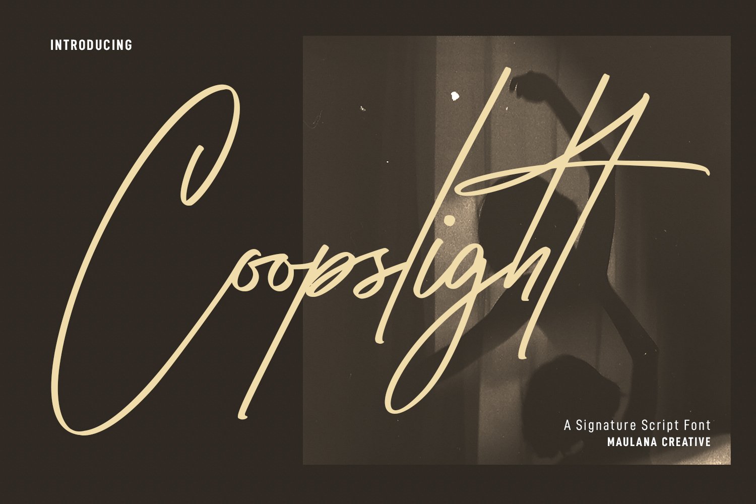 Coopslight Signature Script Font cover image.