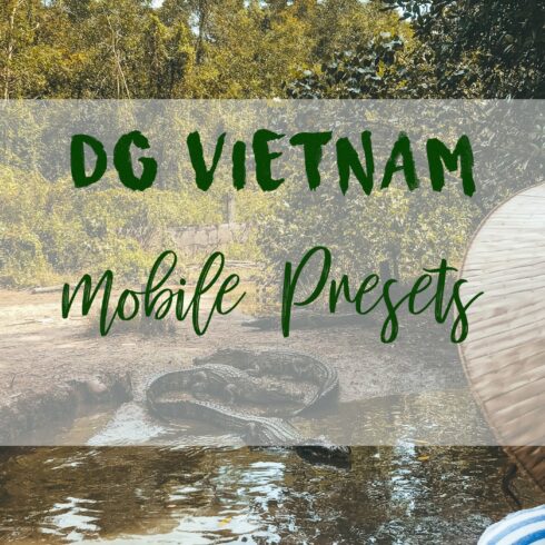 DG VIETNAM MOBILE PRESETScover image.