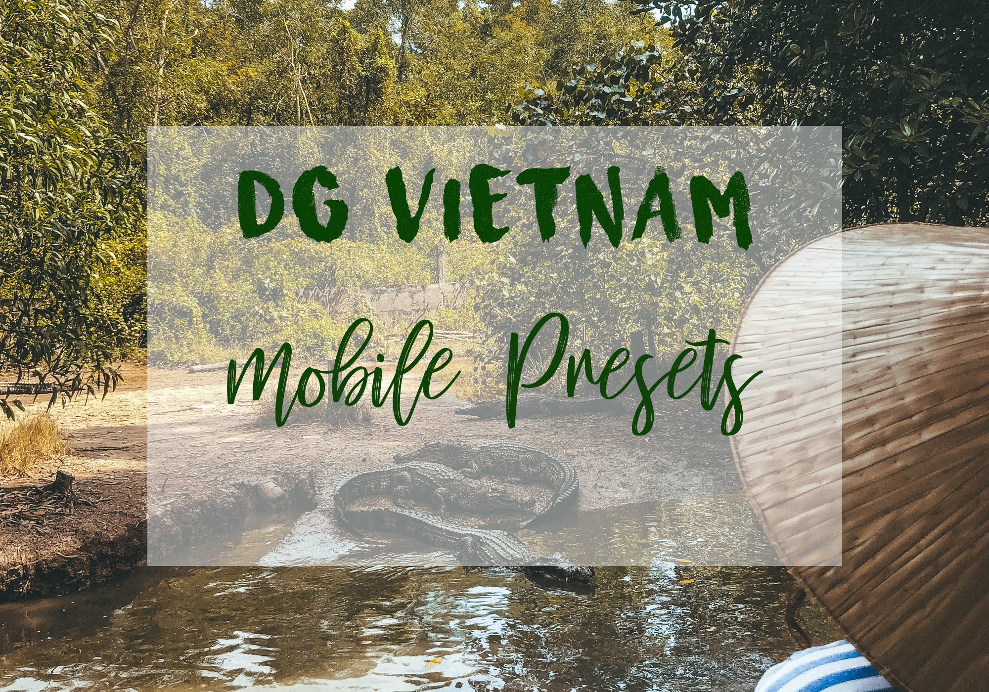 DG VIETNAM MOBILE PRESETScover image.