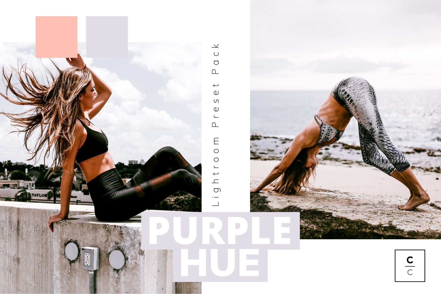 Purple Hue Lightroom Presetscover image.