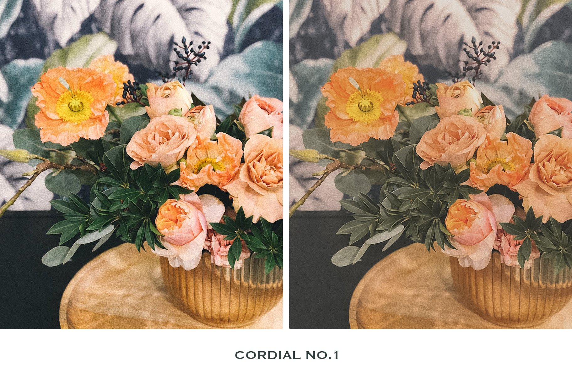 cordial no.1 copy 2 223