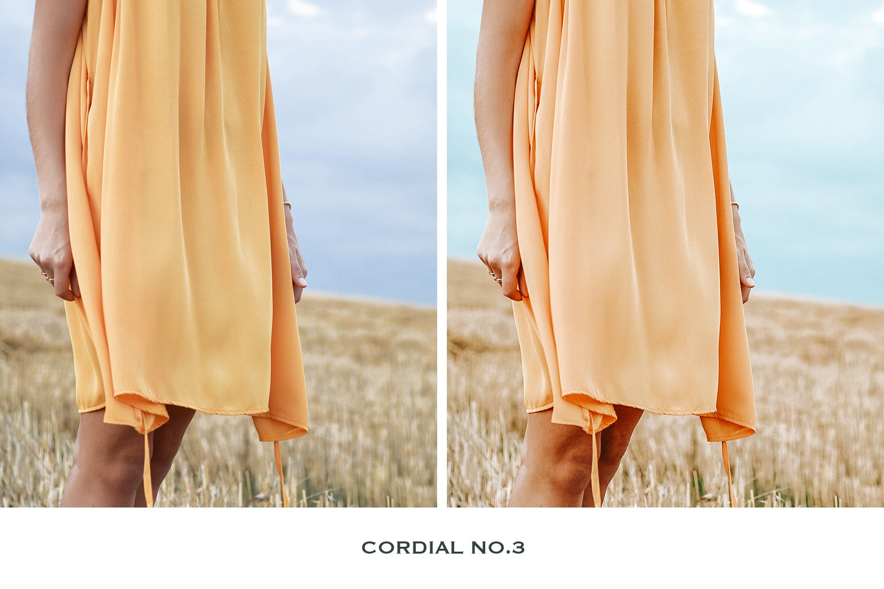 Cordial Lightroom Presets Mobilepreview image.