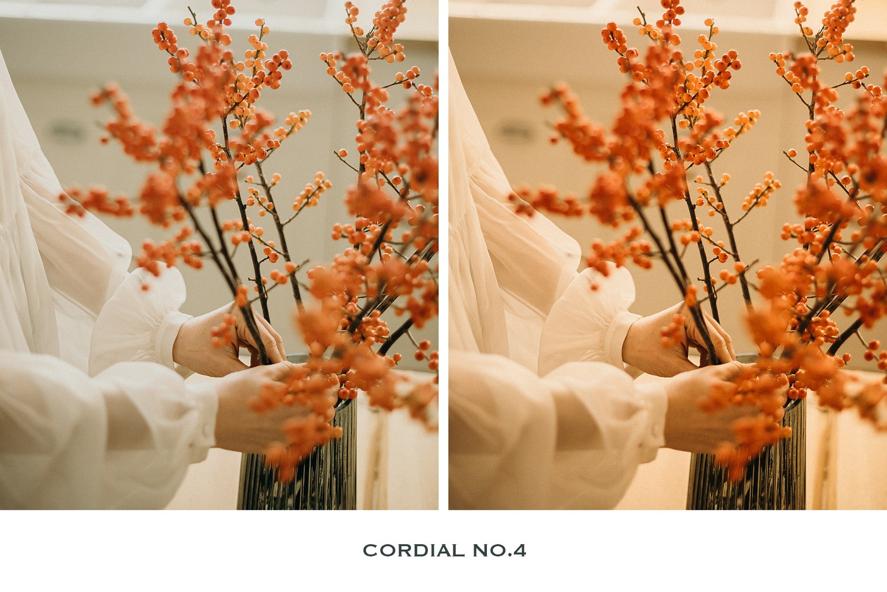 cordial no.4 copy 3 94