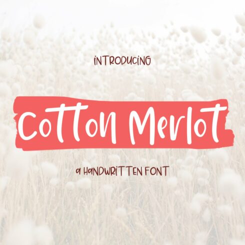 Cotton Merlot - a handwritten font cover image.