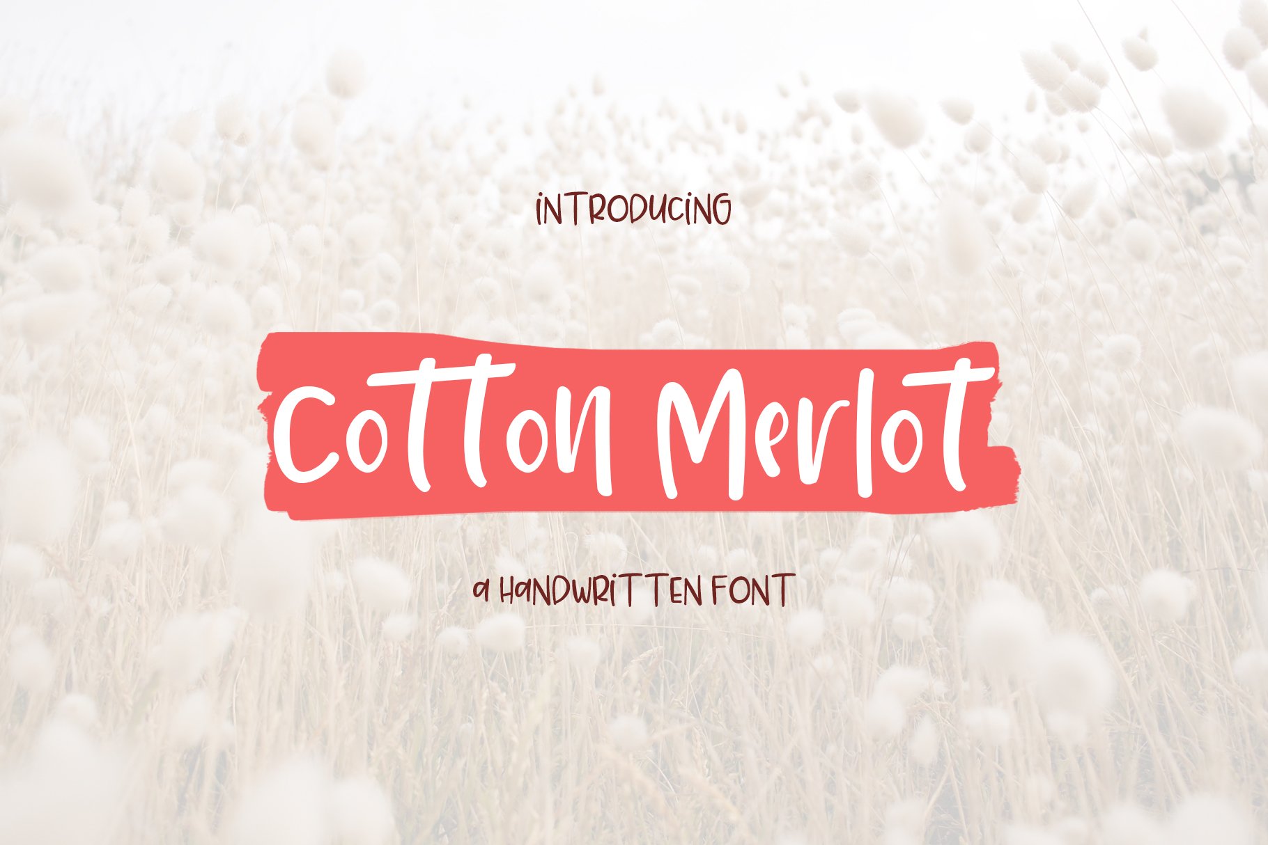 Cotton Merlot - a handwritten font cover image.