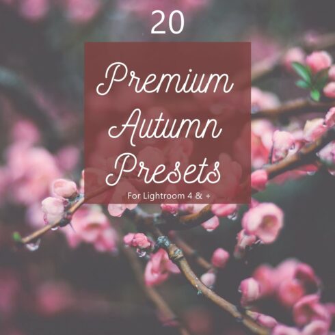 Pack 20 Premium Autumn Fall Presetscover image.