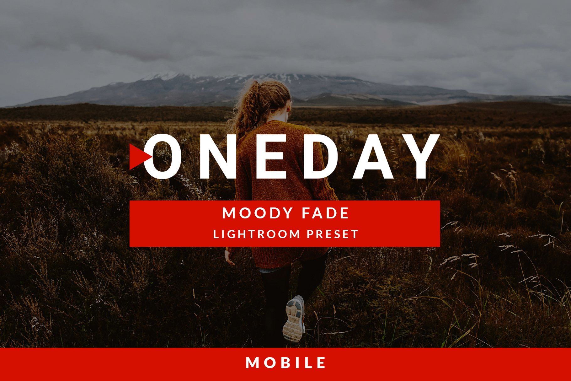 Mobile Oneday : Moody Fade Lr presetpreview image.