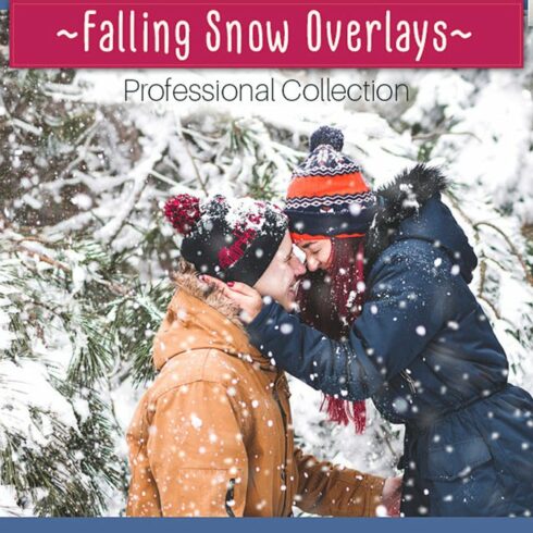 Falling Snow Overlayscover image.