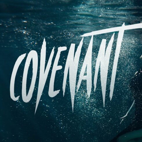 Covenant - Brush Font cover image.