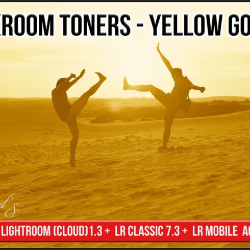 Darkroom Toners - Yellow Goldencover image.
