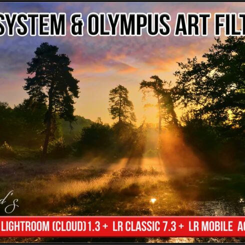 OM System & Olympus Art Filterscover image.
