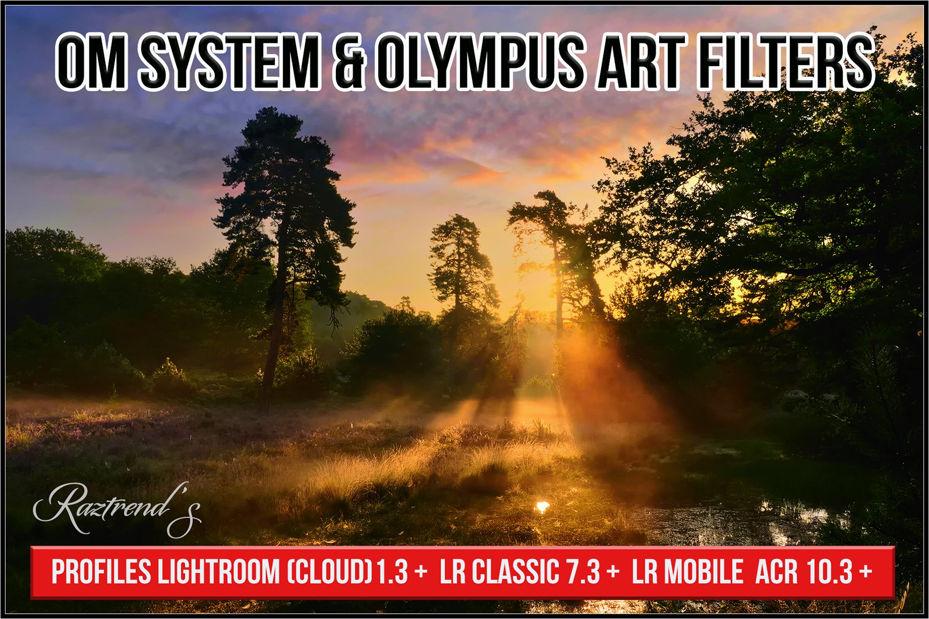 OM System & Olympus Art Filterscover image.