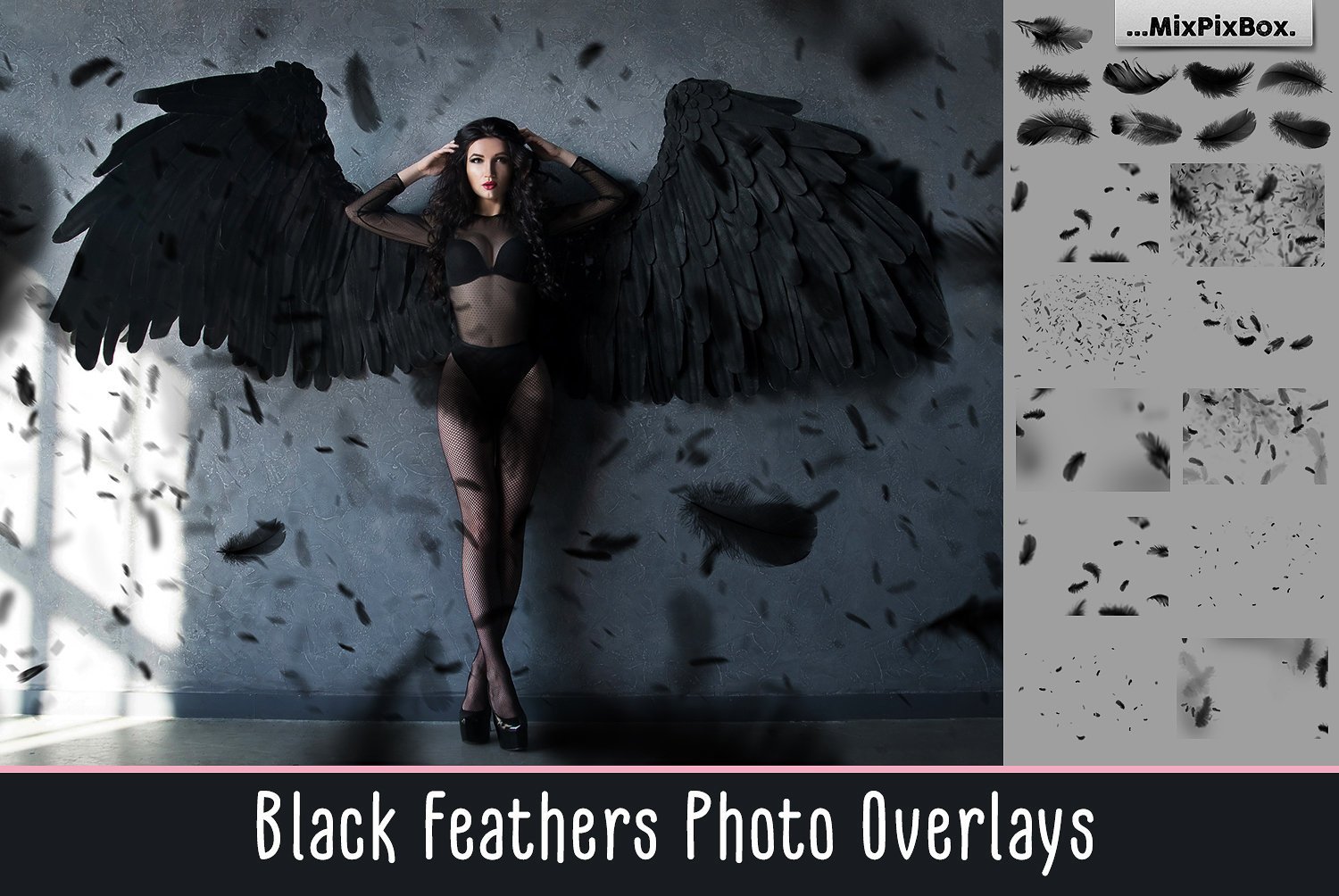 Black Feathers Overlayscover image.