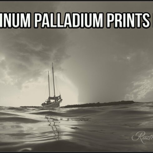 Platinum Palladium Prints LUTscover image.