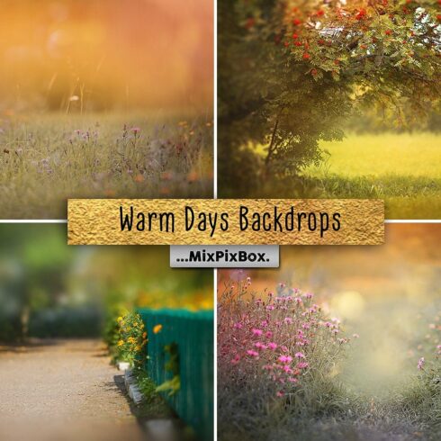 Warm Days Backdropcover image.